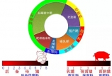 母豬階段性精準營養和飼養管理策略之后備母豬