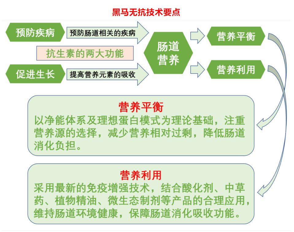 無抗新技術(shù)，..